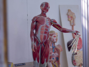 Best Paramedical & Allied Sciences College in India