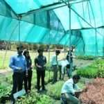 sai institute dehradun
